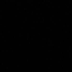 Meet your Posher, Smiley